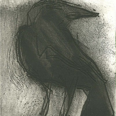 Raven etching 2