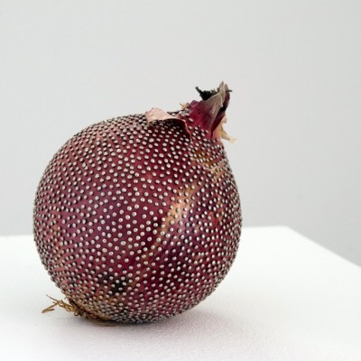 edited size Heart, 2010, red onion and sewing pins.jpg