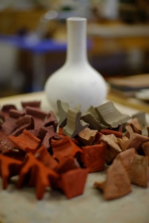 various clay samples