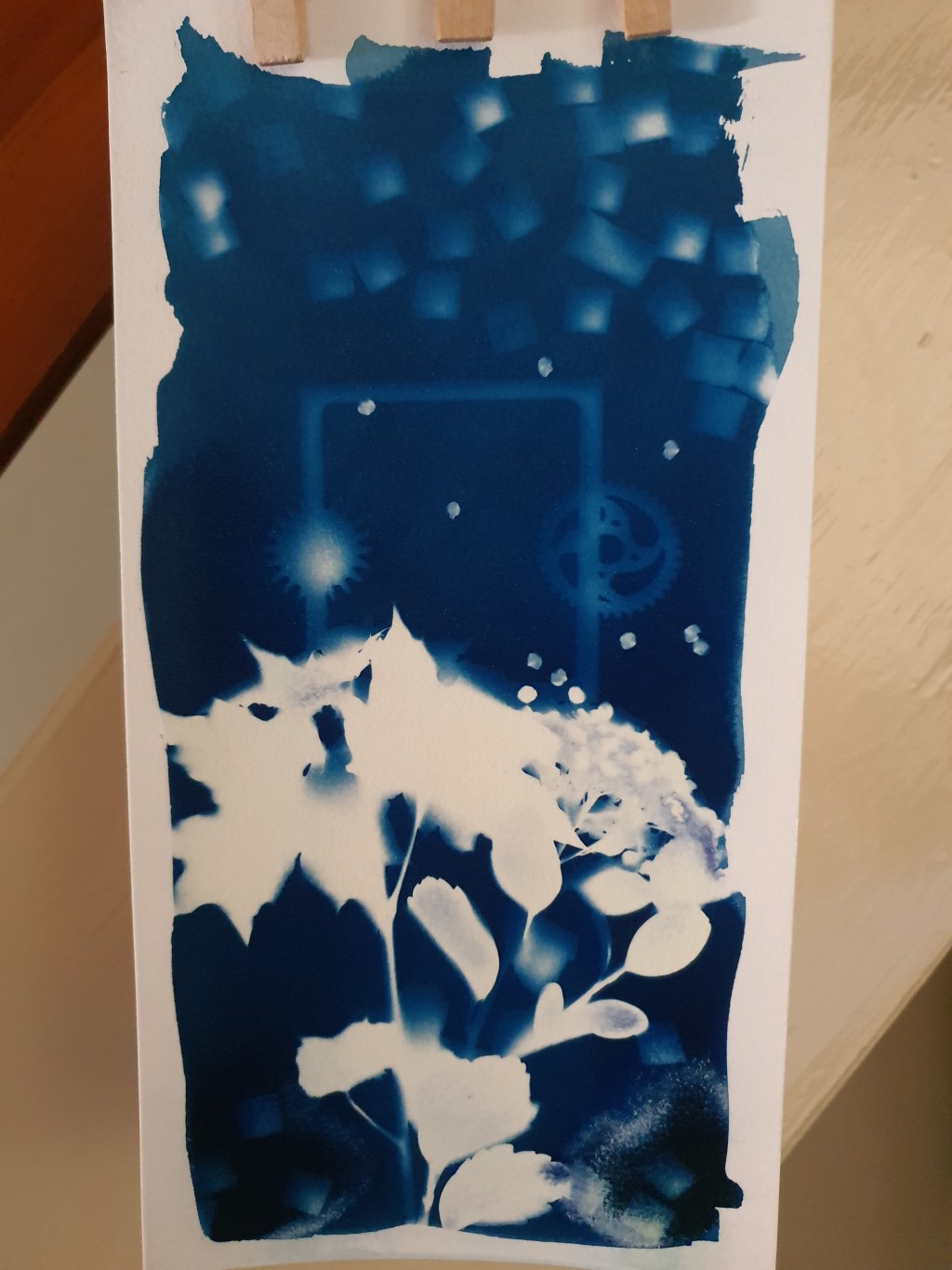 The Cyanotype Composition