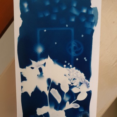The Cyanotype Composition