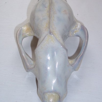 Shannon Donovan: Porcelain badger skull